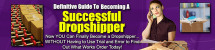 Thumbnail NEW!* Guide To Becoming A Successful Dropshipper PLR* Thumbnail NEW!* Guide To Becoming A Successful Dropshipper PLR*