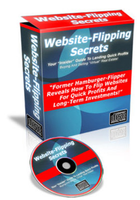 Product picture Website Flipping Secrets With MRR