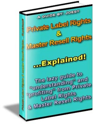 Product picture NEW!* Private Label Rights Ebook With MRR*