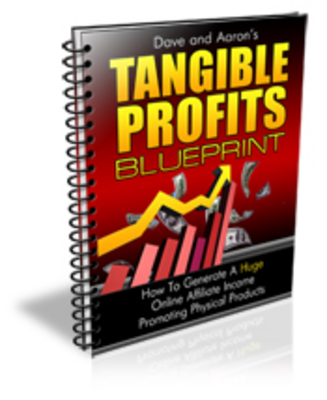 Product picture NEW!* Tangible Profits Blueprint With MRR*