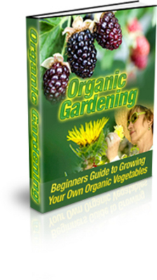Product picture NEW!* Growing Organic Vegetables For Beginners With MRR*
