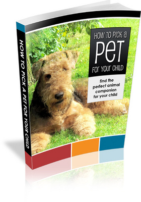 Product picture NEW!* How to Pick Pet For Your Child With MRR*