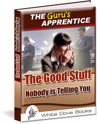 Product picture NEW!* The Good Stuff Nobody Is Telling You With MRR*