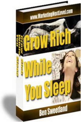 Product picture NEW!* Grow Rich While You Sleep  MRR
