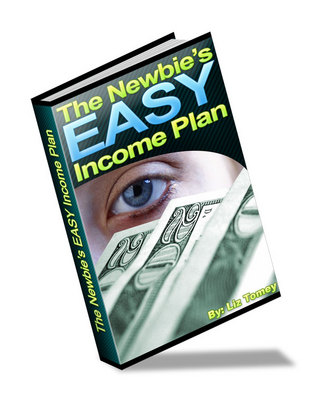 Product picture NEW!* The Newbies EASY Income Plan MRR*